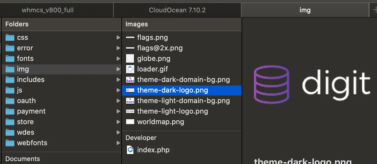 The two Digit logo files in the img folder